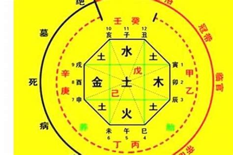 喜用神水的人特色|八字喜水人的建议 (喜用神为水的人戴什么最旺)